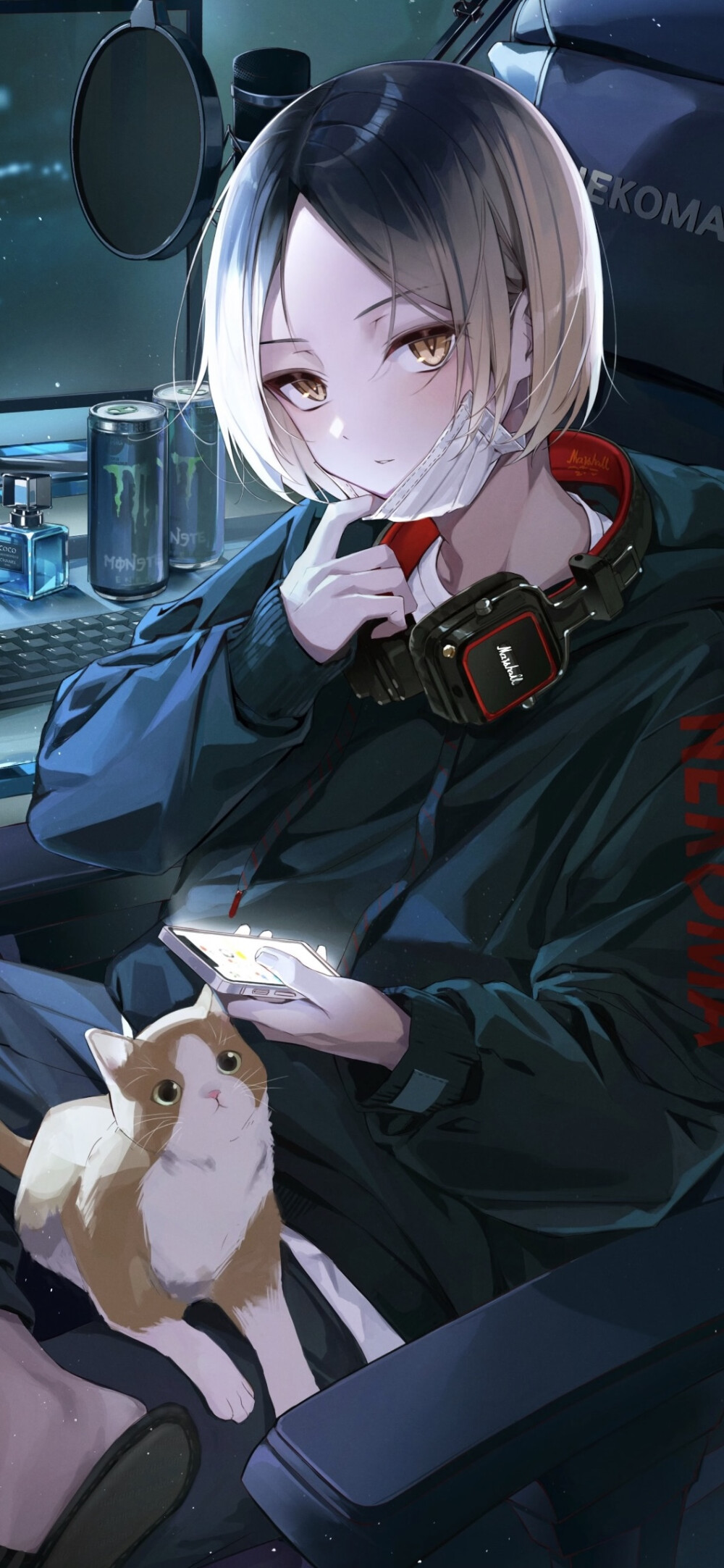 超高清动漫壁纸，二次元壁纸