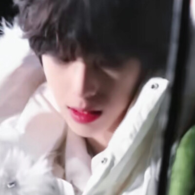 没有不爱小猪的义务