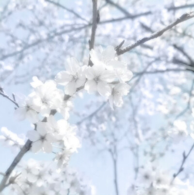 iocat（爱小猫）*자신을 선택하는 것이다