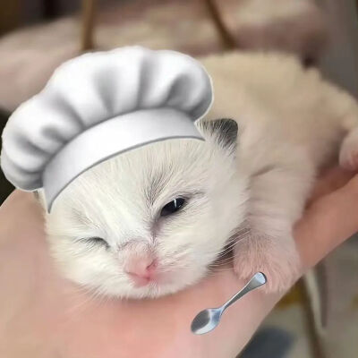 我是不会放弃收集这种图片的