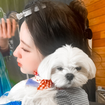 欧阳娣娣头像
拿图dd