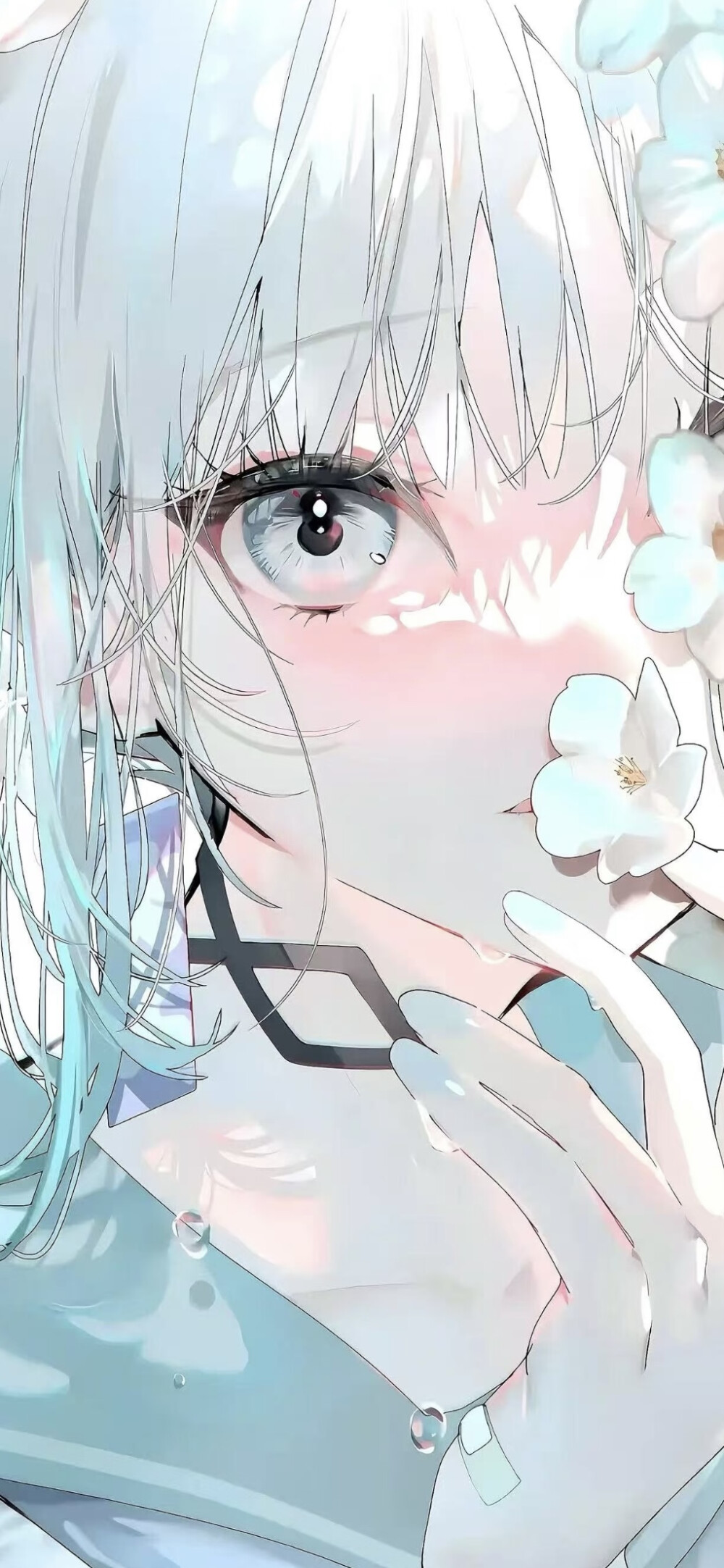 超高清动漫壁纸，二次元壁纸