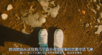 《花束般的恋爱》