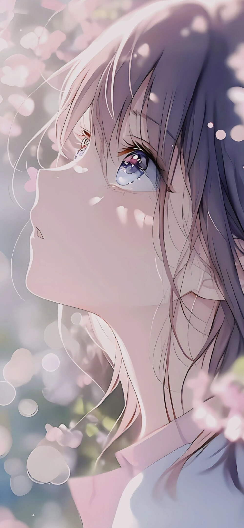 超高清动漫壁纸，二次元壁纸