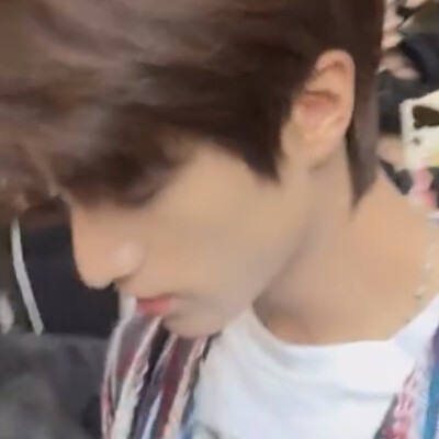 我在树叶落下的时候等你