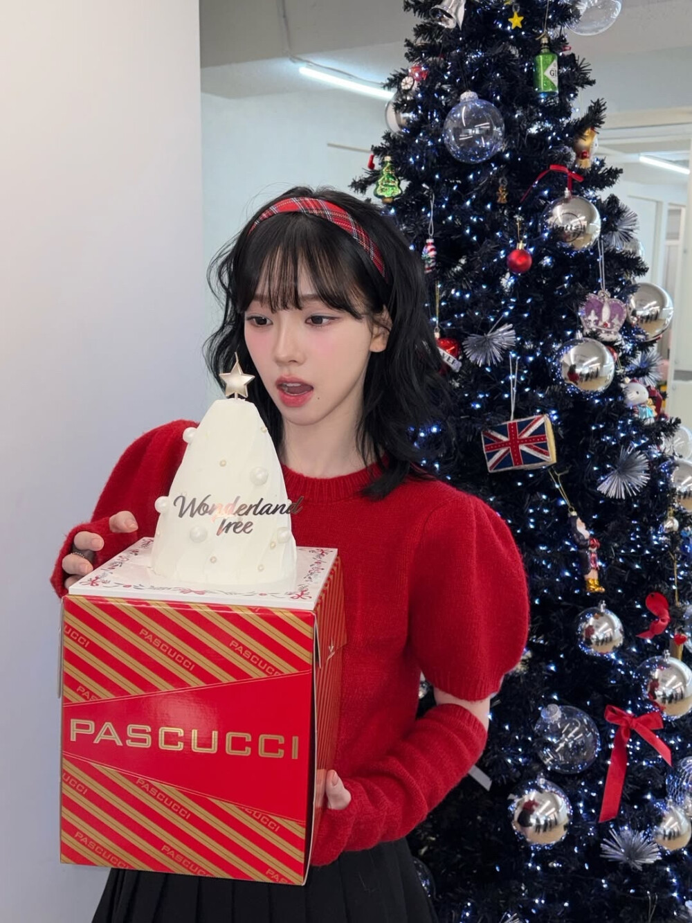 aespa karina柳智敏