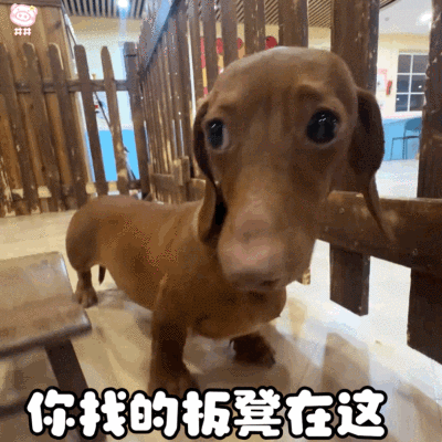 腊肠狗表情包动图
可爱的表情包