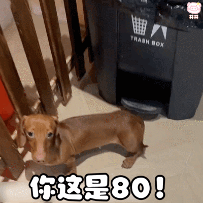 腊肠狗表情包动图
可爱的表情包