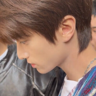 我在树叶落下的时候等你