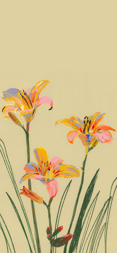 可爱的
图片来自网络，侵删