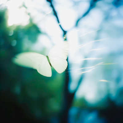 我们将在另一个春天靠岸