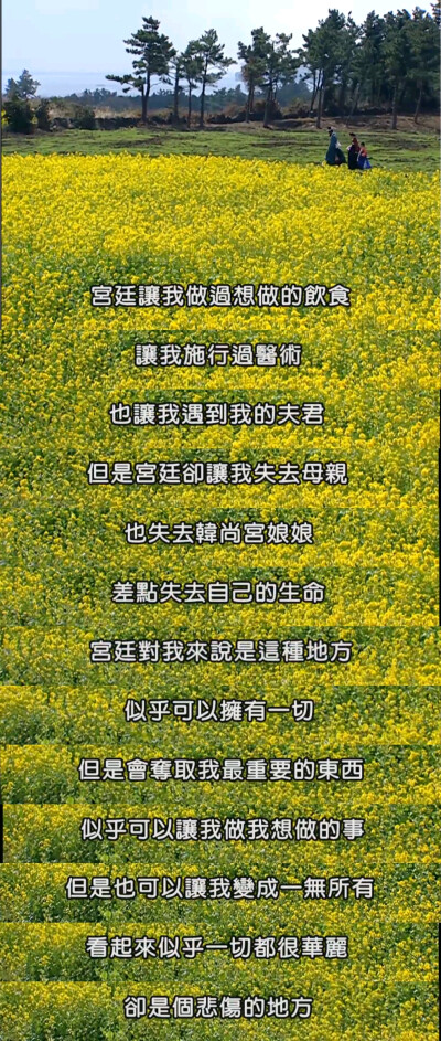 【韩剧·截图】《大长今》第五十四集