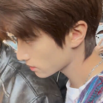 我在树叶落下的时候等你