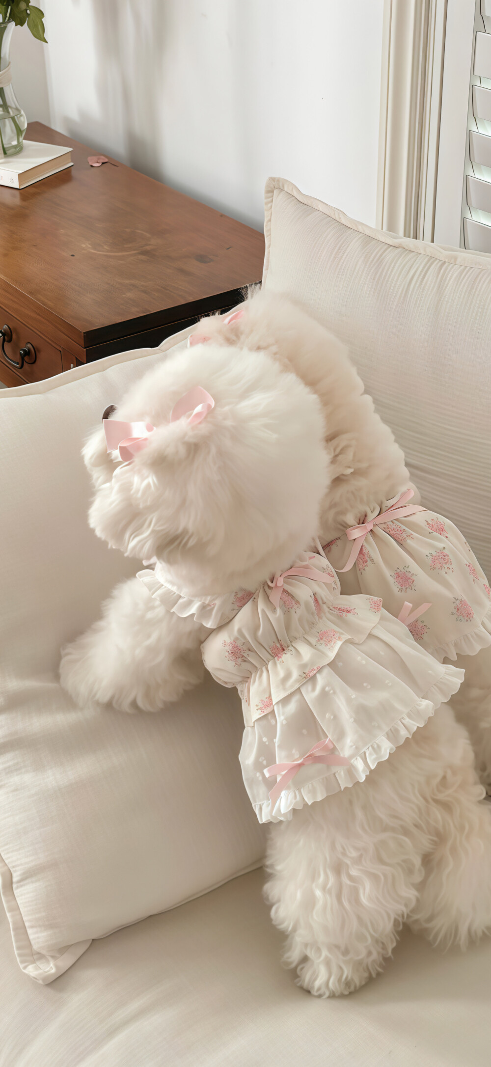 手机壁纸｜聊天背景图