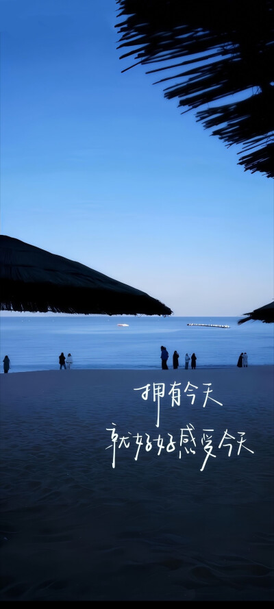 该来的我不推，该走的我不追