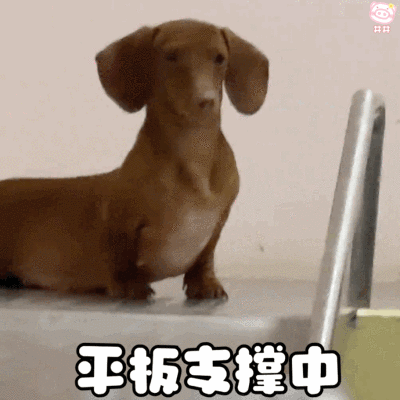 腊肠狗表情包动图
可爱的表情包