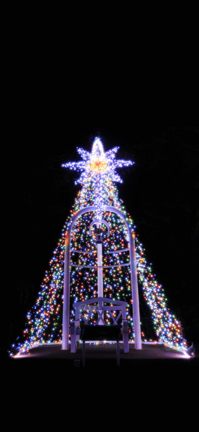 圣诞快乐
图片来自网络，侵删