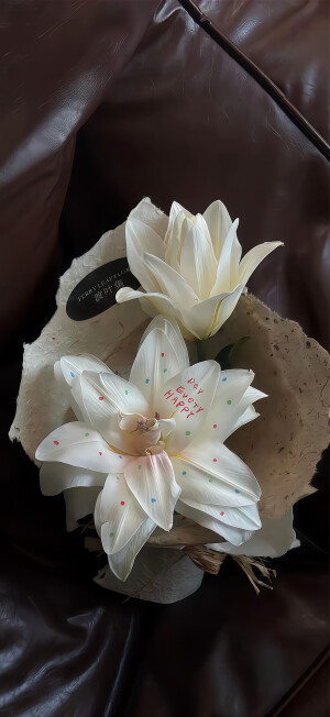 手机壁纸｜聊天背景图