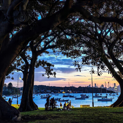 背景·图源微博