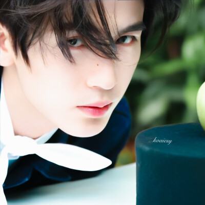 我们将在另一个春天靠岸