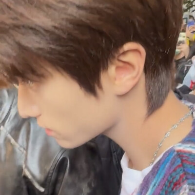 我在树叶落下的时候等你