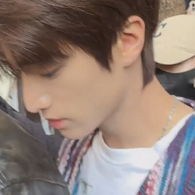 我在树叶落下的时候等你