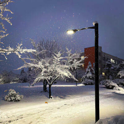 背景·图源微博