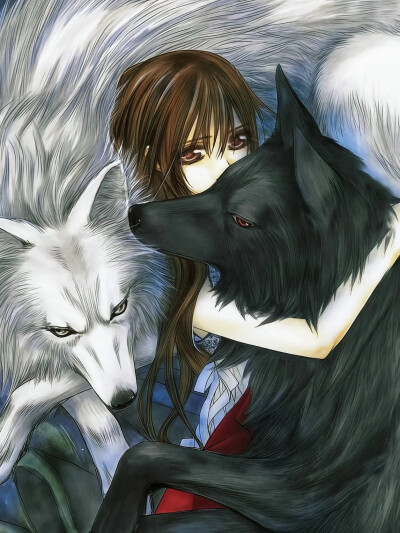 吸血鬼骑士 黑主优姬 玖兰枢 锥生零