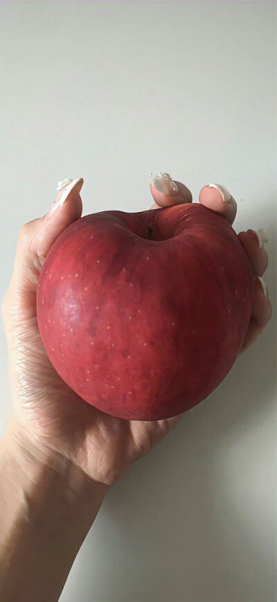 手机壁纸｜聊天背景图