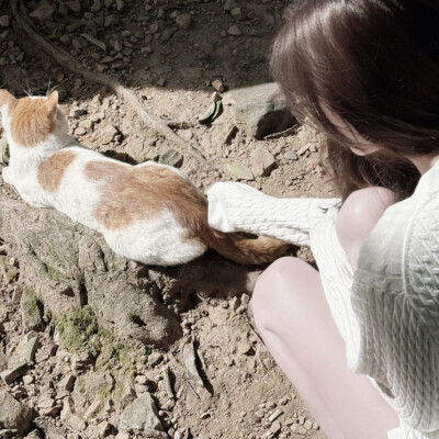 让时间停止那一场雨
