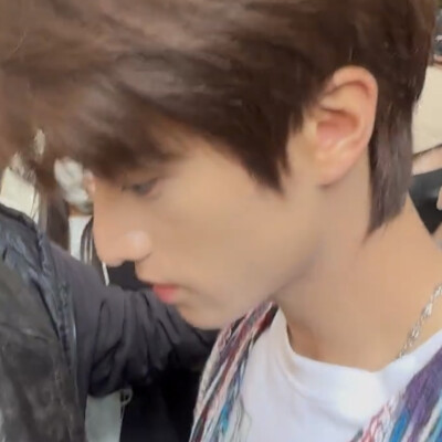 我在树叶落下的时候等你