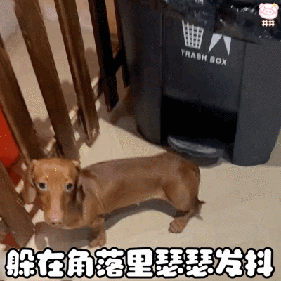 腊肠狗表情包动图
可爱的表情包