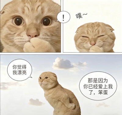 耄耋 哈基米 哈气