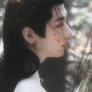 白翎金竿雨中尽，直余三脊残狼牙