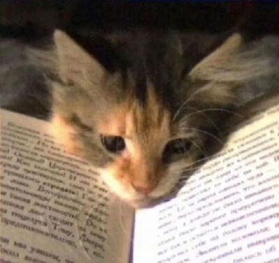 我是不会放弃收集这种图片的