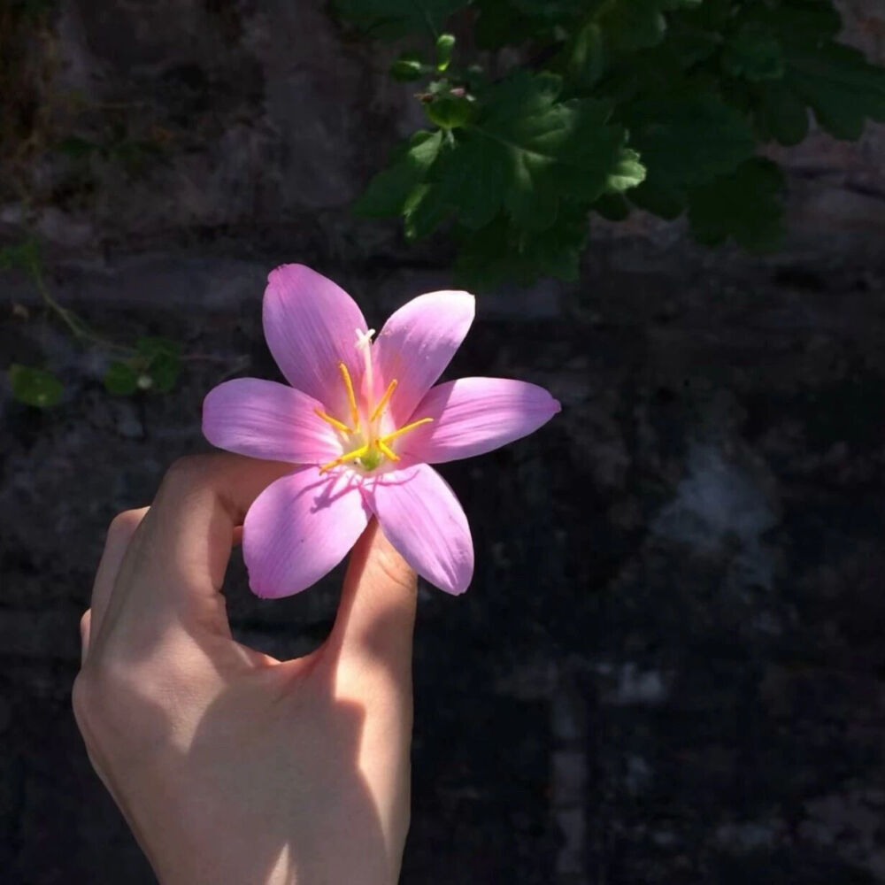 ‎#ليس قوة خارقة