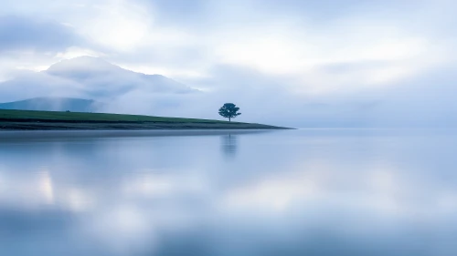 Photo by WPcoder