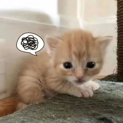 我是不会放弃收集这种图片的