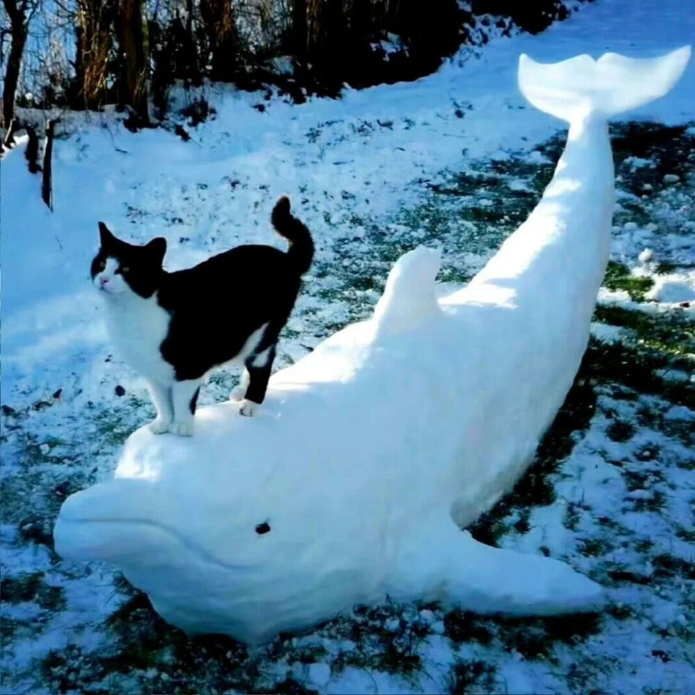 ‎#ليس قوة خارقة