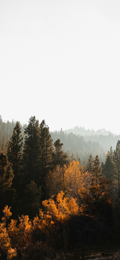 ‎#ليس قوة خارقة