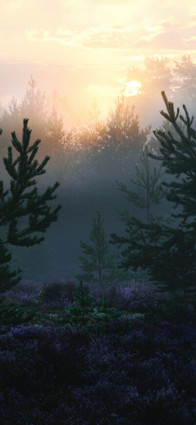 ‎#ليس قوة خارقة