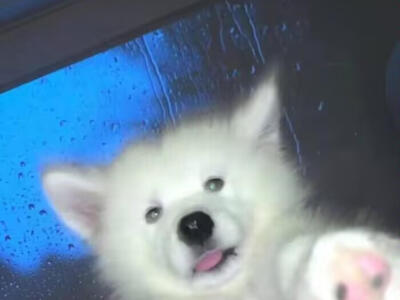 太努力的我们最后用力给祝福