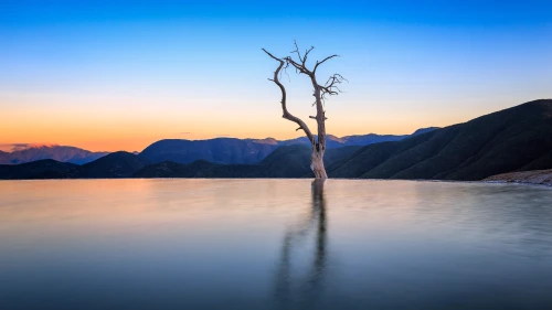 Photo by 壁纸迷