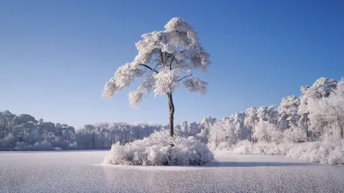 Photo by WPcoder