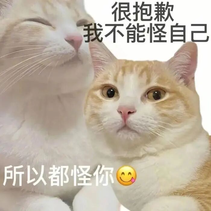 猫猫表情包