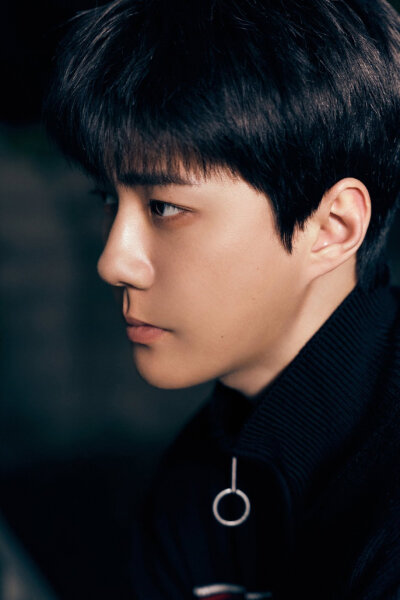 EXO《REVERXE》回归预告