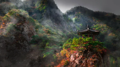 Photo by 壁纸迷