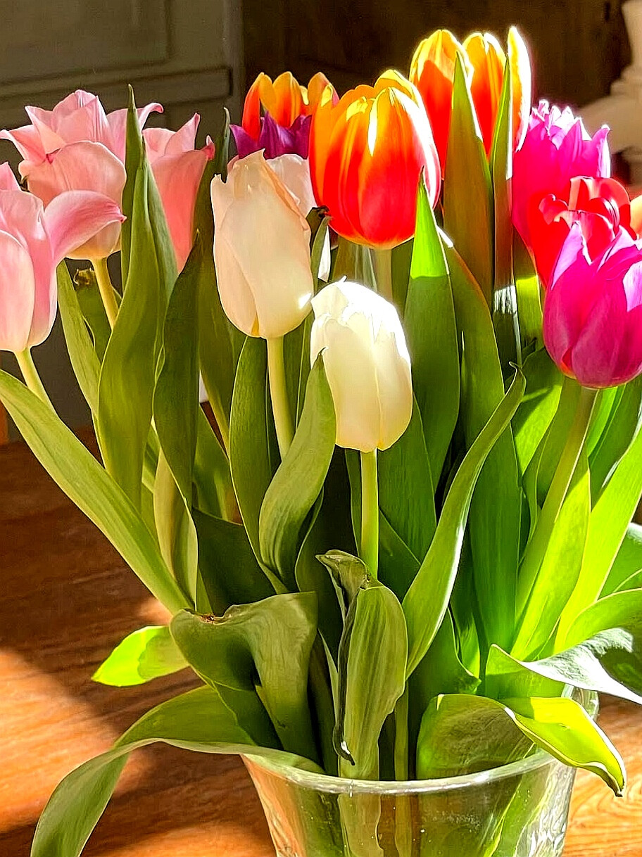 日常
抓住那似水流年，抓住，抓住！