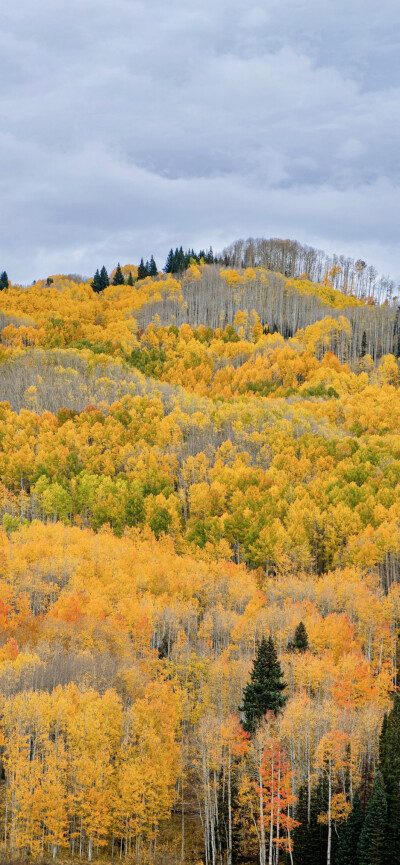 ‎#ليس قوة خارقة