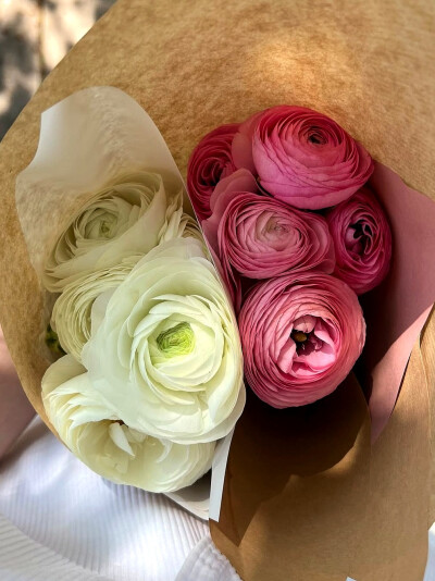 日常
抓住那似水流年，抓住，抓住！